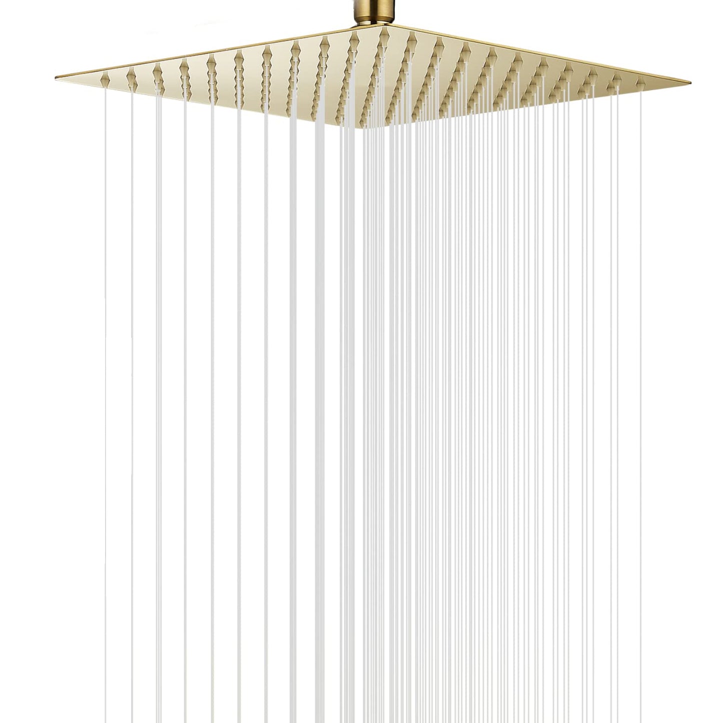 Schwisteen Stainless Rain Style Shower Head (4 Sizes)
