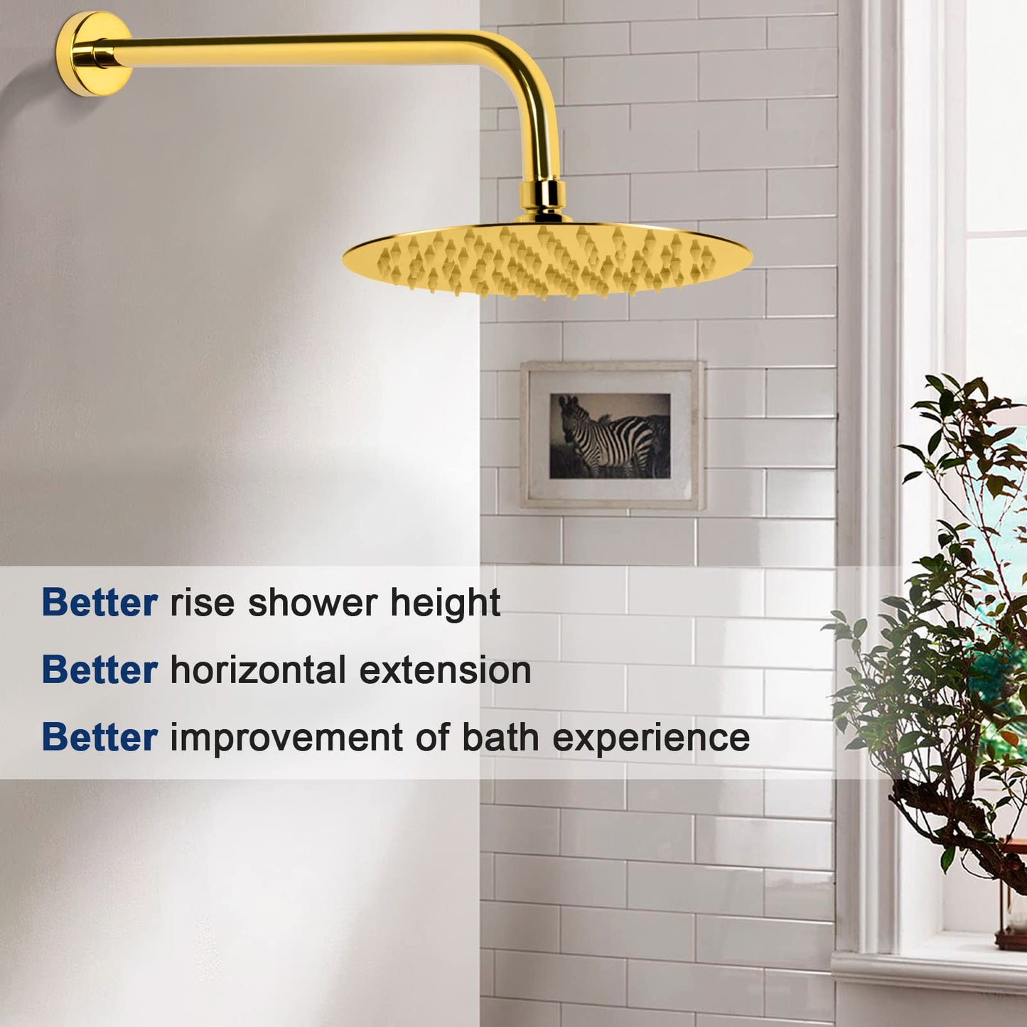 The Schwisteen Shower Extender Arm (3 Available Sizes)