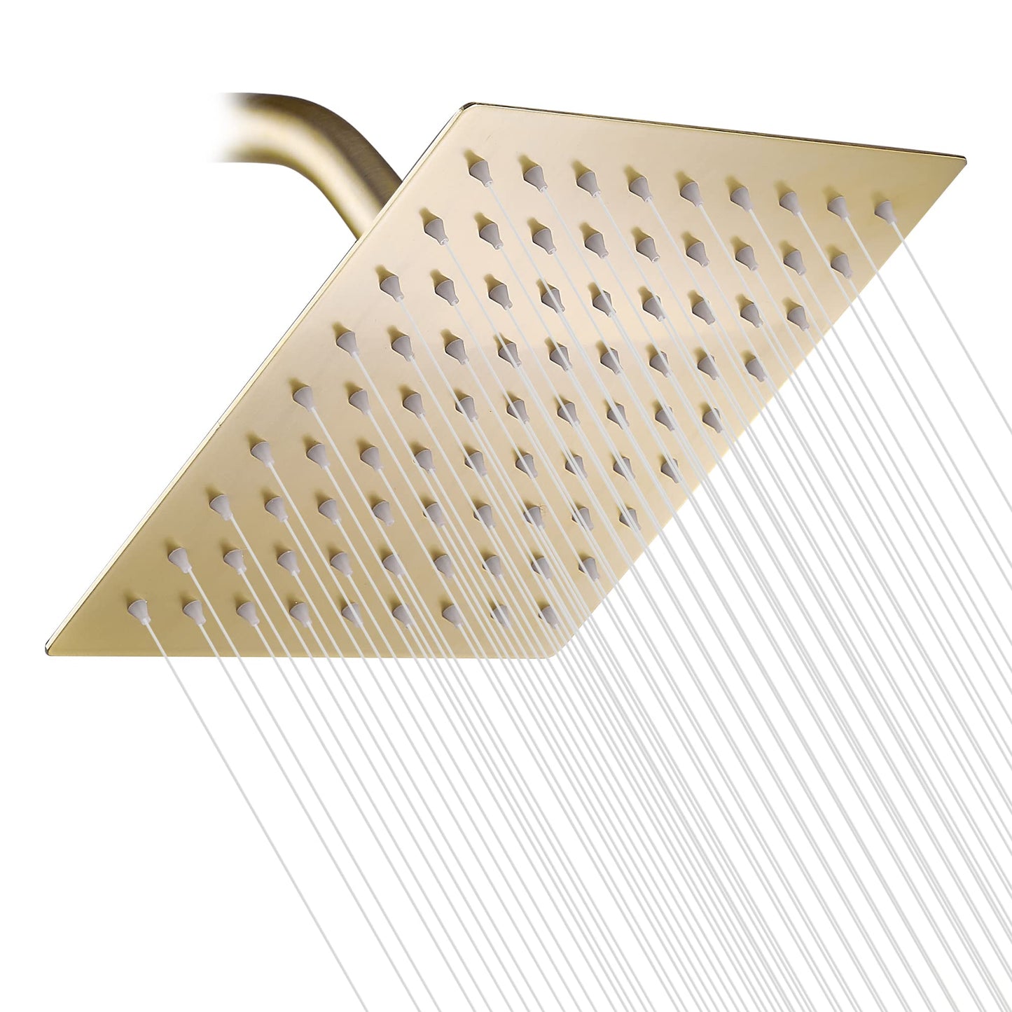 Schwisteen Stainless Rain Style Shower Head (4 Sizes)